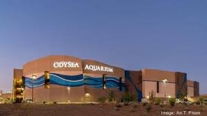 OdySea Aquarium